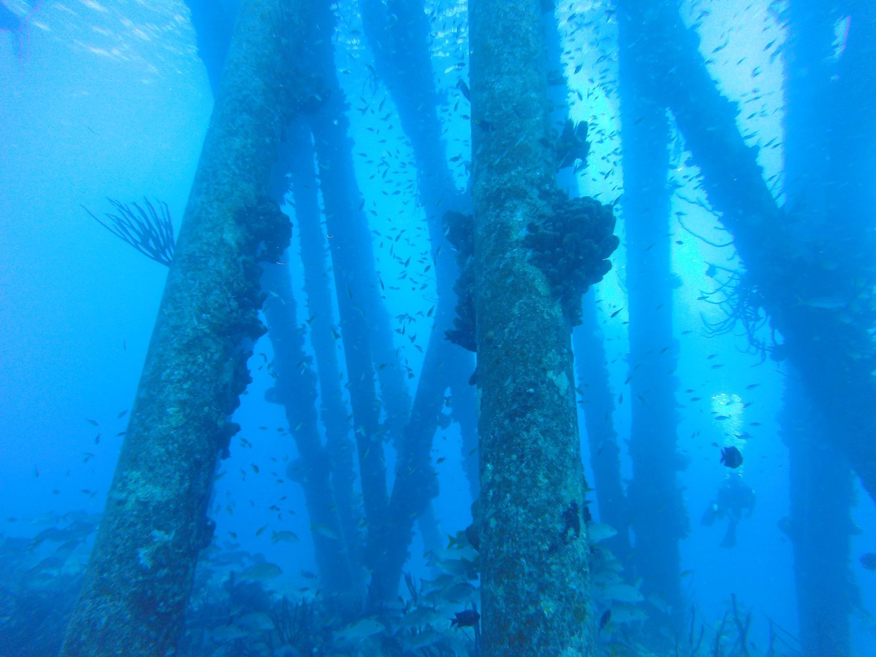 Salt Pier, Bonaire