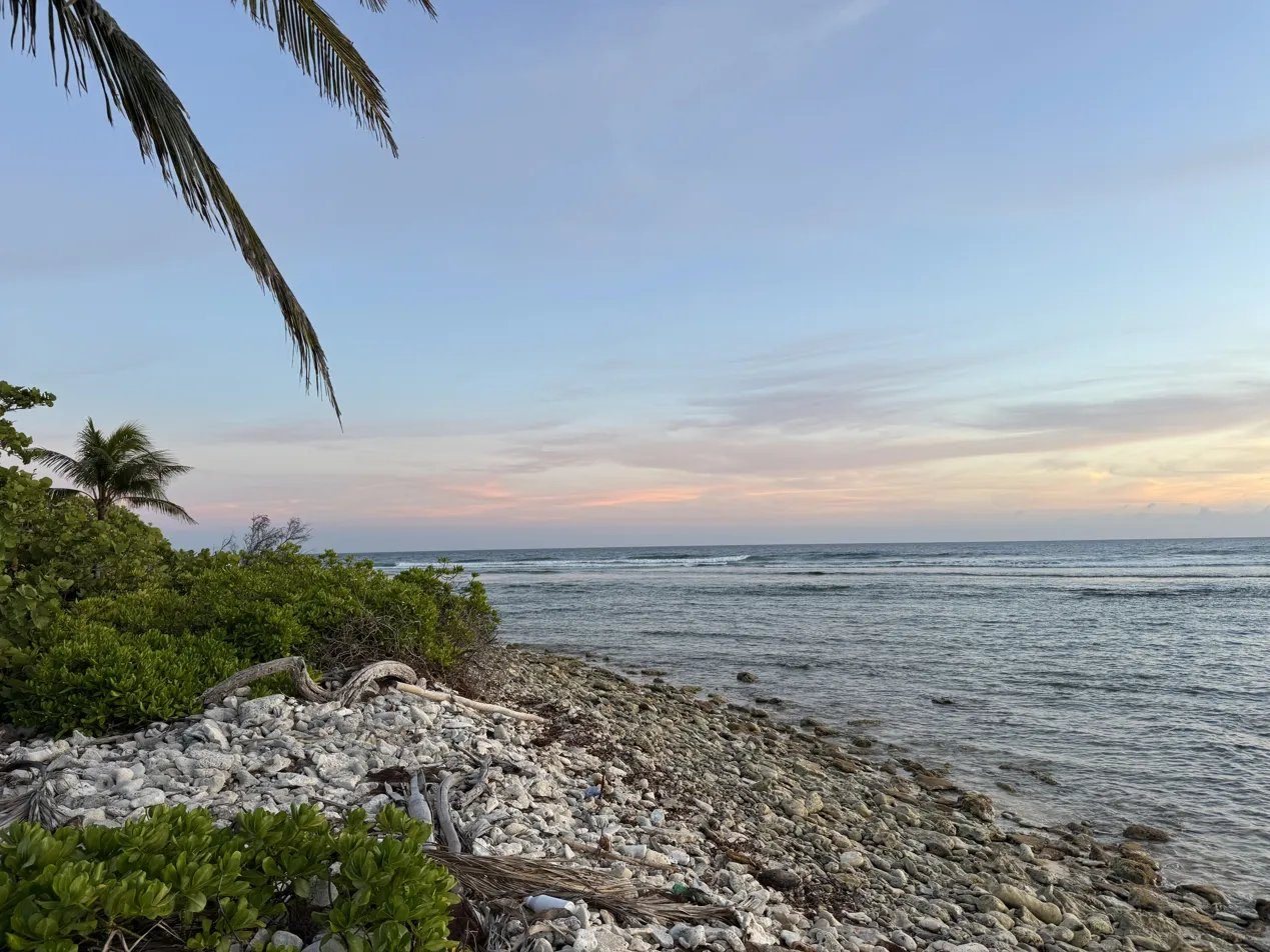 Shoreline at dusk